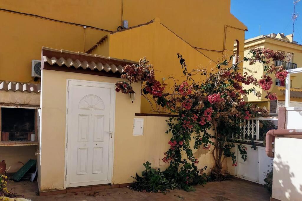 Mar Azul Adosado, Patio Y Solarium Apartment Torrevieja Ngoại thất bức ảnh